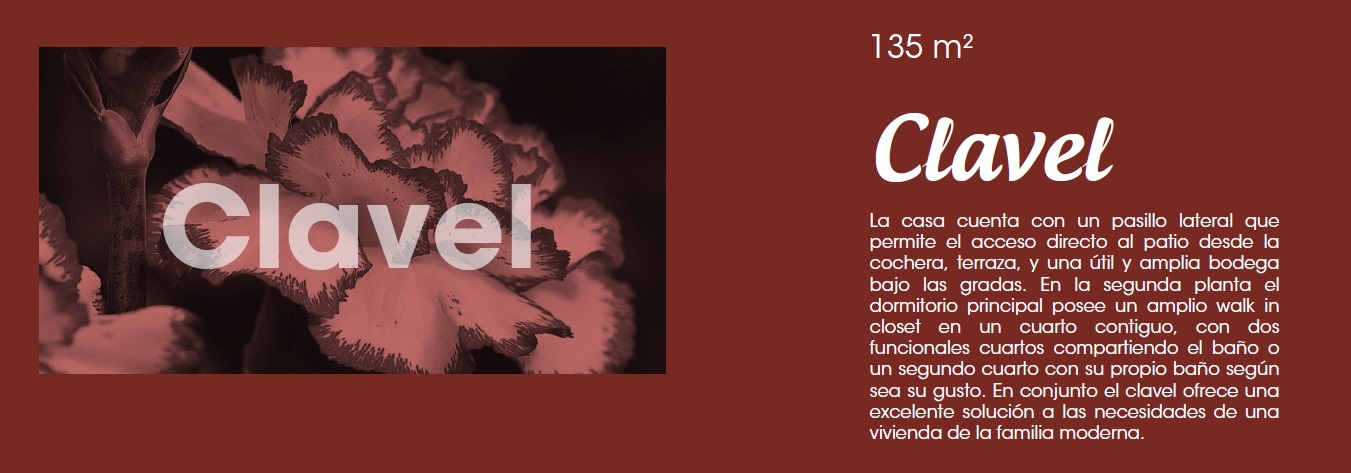 Clavel
