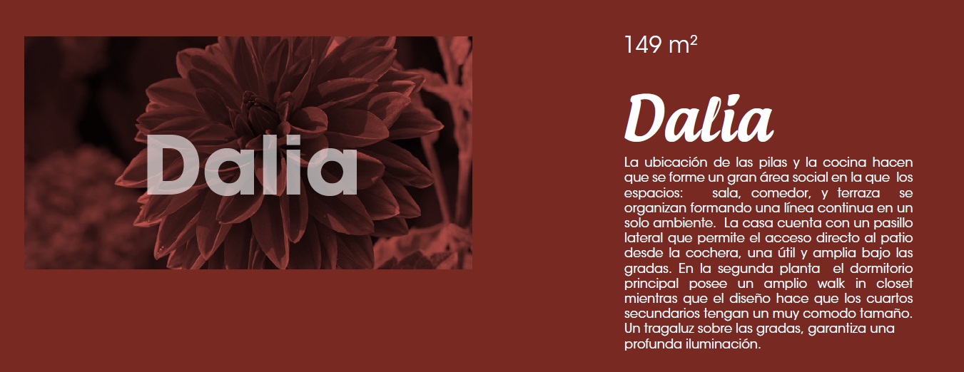 Dalia